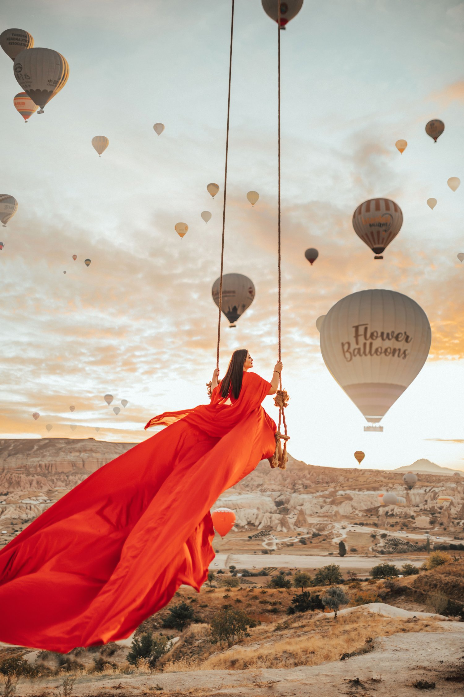 Salıncak & Vinç 2500₺